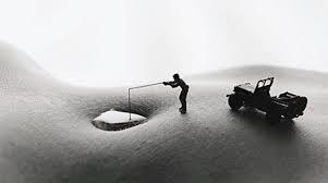 Nice Pics - images0i.jpeg